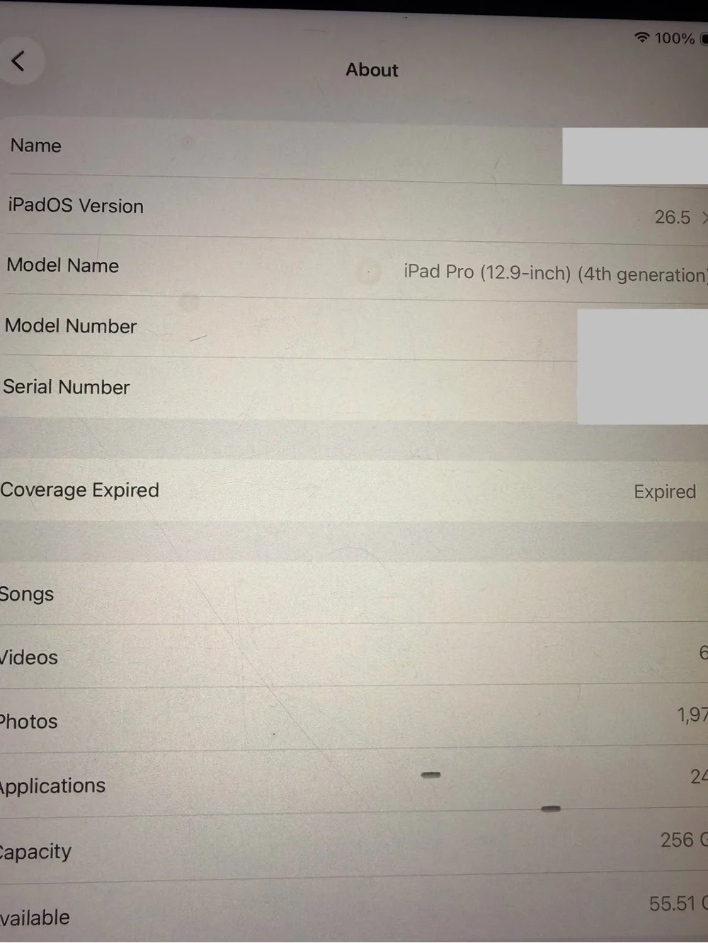 iPad Pro, 4th generation, WiFi **check description**